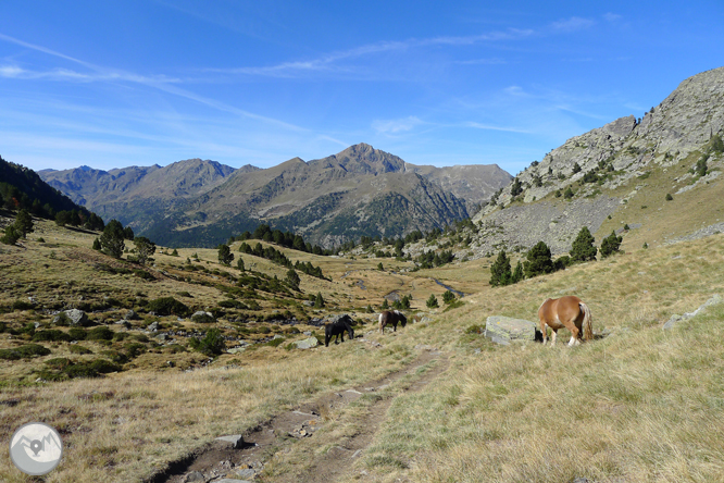 Lac et pic de l