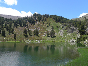 Étangs de la Pera depuis Pollineres