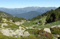 Clairière du refuge d´Ensagents.