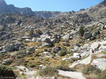 Il nous reste la dernière montée jusqu´au lac du Cap dels Pessons.