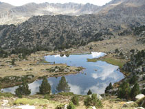 Lac Forcat.