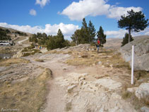Le chemin aux marques bleues qui descend au milieu de la forêt est une alternative à la piste de montée.