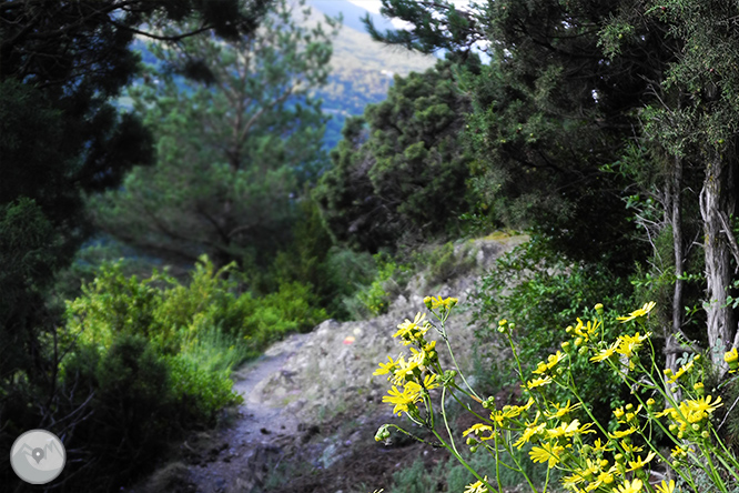 GRP - Étape 1 : Aixovall - Refuge de Claror 1 