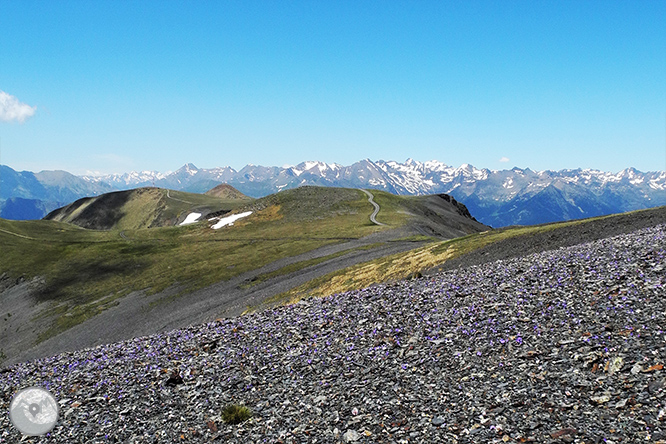 GRP - Étape 1 : Aixovall - Refuge de Claror 1 