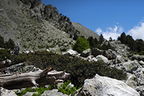 Zone rocailleuse sur le chemin du lac de la Nou.