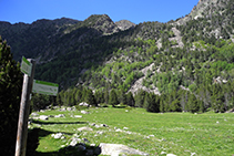 Signalisation verticale et zone de prés.