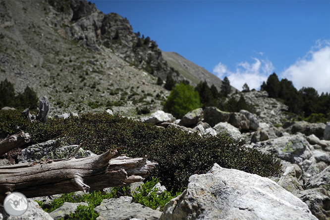 GRP - Étape 2 : Refuge de Claror - Refuge de l