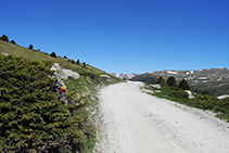 Vous avancez sur une piste entourée de prés.