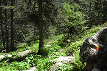 Sentier vers le village de Bordes d´Envalira.