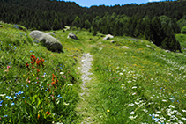 Sentier vers le village de Bordes d´Envalira.