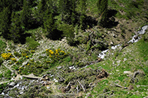 La rivière Cebollera et le pont en bois qui la traverse.