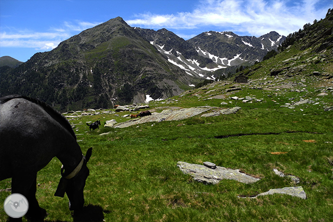 GRP - Étape 5 : Refuge du Juclar - Refuge de Borda de Sorteny 1 