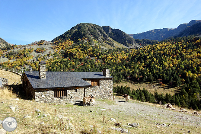 GRP - Étape 5 : Refuge du Juclar - Refuge de Borda de Sorteny 1 