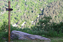 Panneau en bois avec le dessin d´un lézard.