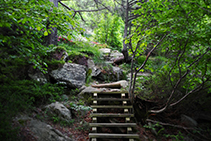 Chemin ombragé et captivant.