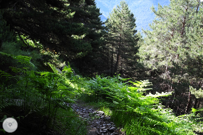 GRP - Étape 6 : Refuge de Borda de Sorteny - Refuge du Comapedrosa 1 