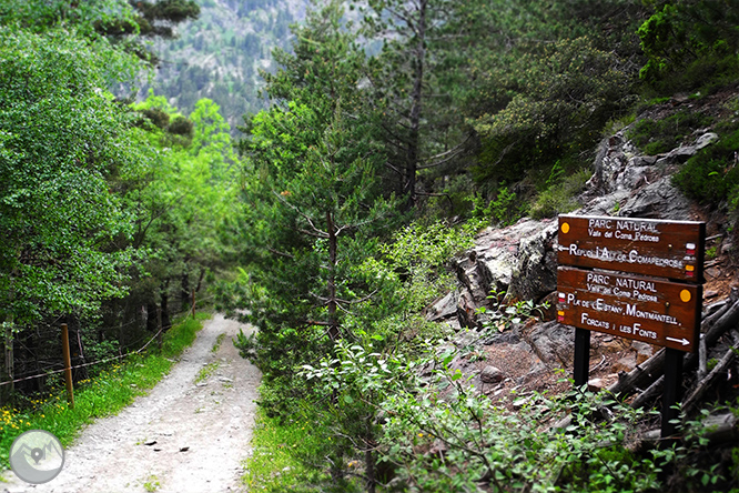 GRP - Étape 6 : Refuge de Borda de Sorteny - Refuge du Comapedrosa 1 