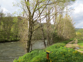 Itinéraire de la Loutre à Martinet