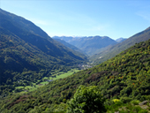 Forêt de hêtres de Carlac à Bausen