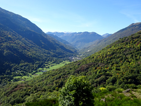 Forêt de hêtres de Carlac à Bausen