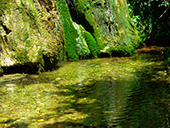 La Font Viva depuis Peramola