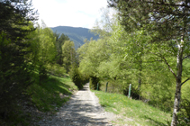 En arrivant sur la route de La Gonarda.