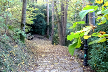 Chemin de Les Molleres.