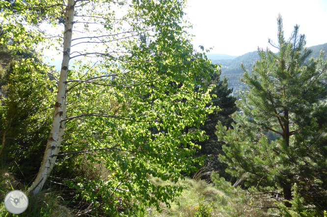 De La Massana au col de l