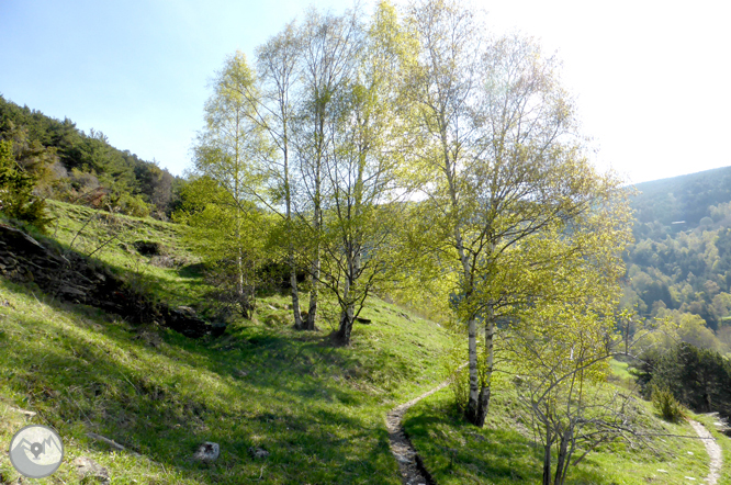 De La Massana au col de l