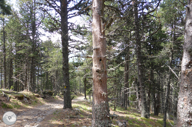 De La Massana au col de l