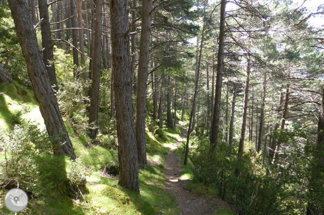 De La Massana au col de l