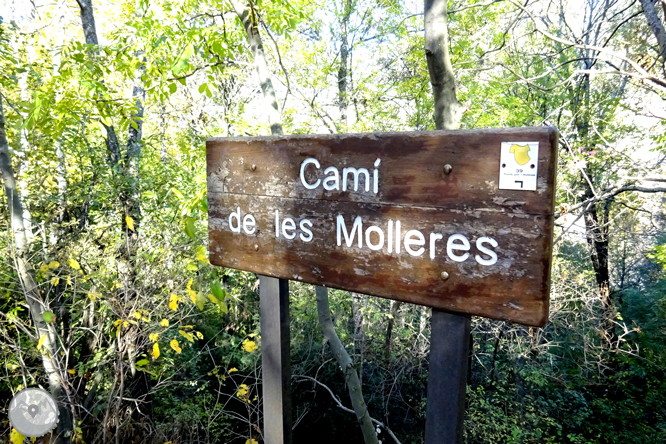 De La Massana au col de l