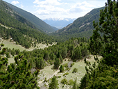 La Vallée de la Llosa