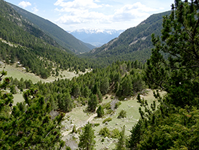 La Vallée de la Llosa