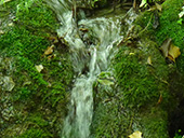 Les sources de Peramola (´´Camí de les Fonts´´)