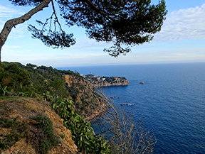 L´Ardenya depuis Sant Feliu de Guíxols