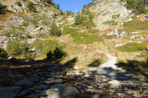 Nous progressons alors parmi les rhododendrons, les framboisiers et les myrtilliers, jusqu´à la colline de Comapedrosa.