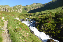 Rhododendrons et chute d´eau de la rivière de Meners dans la vallée de Ransol.