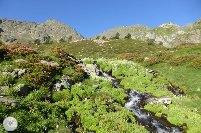 Lacs de Ransol et pic de la Serrera (2913 m) 1 