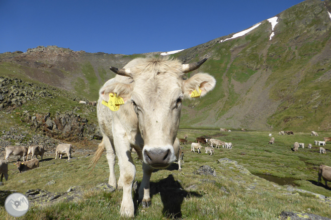 Lacs de Ransol et pic de la Serrera (2913 m) 1 