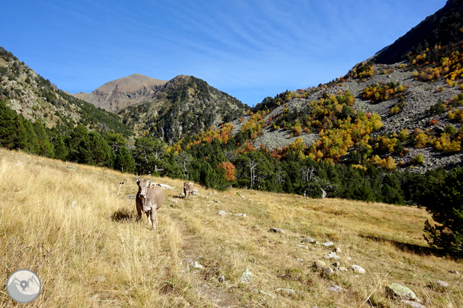 Pic de La Serrera (2913 m) par la vallée de Sorteny 1 