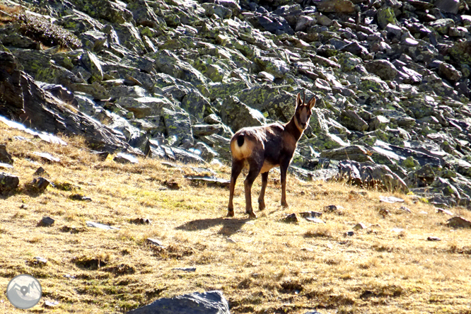 Pic de La Serrera (2913 m) par la vallée de Sorteny 1 