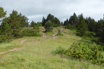 Clairière de la crête de la chaîne montagneuse de Casamanya.