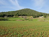 Le volcan du Puig d´Adri