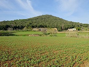 Le volcan du Puig d´Adri