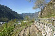 Terrasses avec arbres fruitiers à côté du canal d´irrigation.