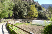 Potagers et serres dans le Rec del Solà.