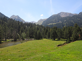 Planell d´Aigüestortes et étang de la Llebreta