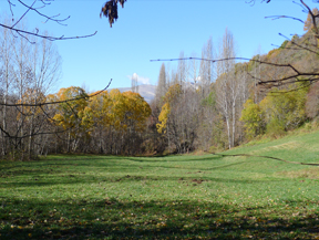 Les sources de Llagunes ("Ruta de les Fonts")