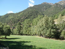 Des prés verdoyants avec des arbres près de la rivière.